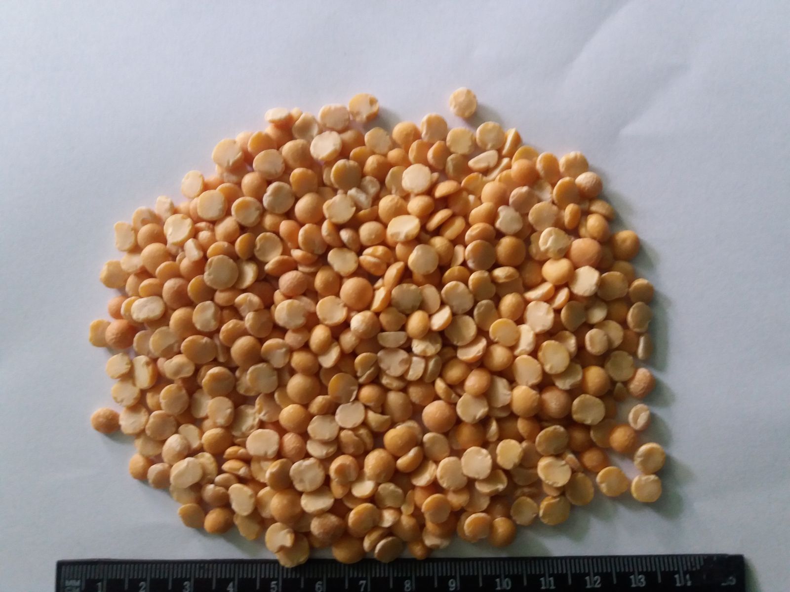 Yellow peanut halves